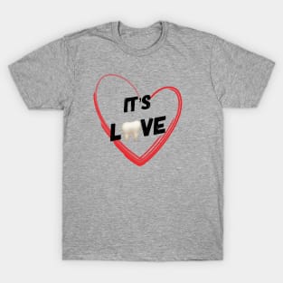 Dental Love T-Shirt